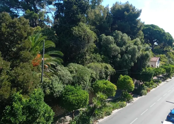 Location T2 Plein Centre Vue Nature